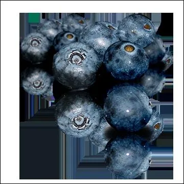 Qu'est-ce que c'est ?