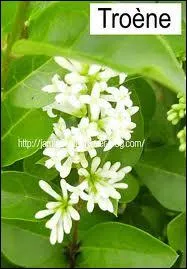 Quelles sont les parties du trone les plus nocives ?