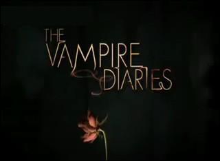 Que signifie Vampire Diaries ?