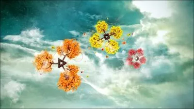 Quel est le signe du milieu de celle o il y a des feuilles rouges ?