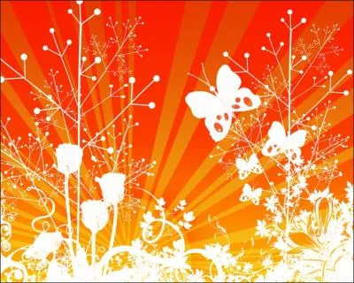 Combien y a-t-il de papillons ?