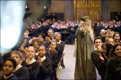 Durant l'anne du Tournoi des Trois Sorciers, qui prend l'apparence du nouveau professeur de Dfense contre les Forces du Mal ?