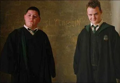 Afin que Drago rpare l'Armoire  disparatre, Crabbe et Goyle se transforment en d'autres tudiants durant leur 6me anne. De qui les deux acolytes prennent-ils le plus souvent l'apparence ?