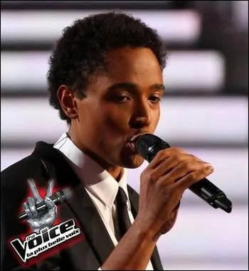 Quel artiste a remport la finale du tl-crochet de TF 1   The Voice   ?