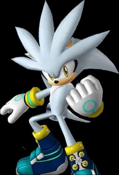 Quelle preuve Silver pratique-t-il en quipe avec Blaze dans  Mario et Sonic aux Jeux olympiques d'hiver  sur DS, mode aventure ?