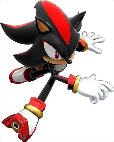 Shadow ressemble beaucoup  Sonic, cependant, son mode de dplacement est diffrent de celui du clbre hrisson bleu. Quel est-il ?