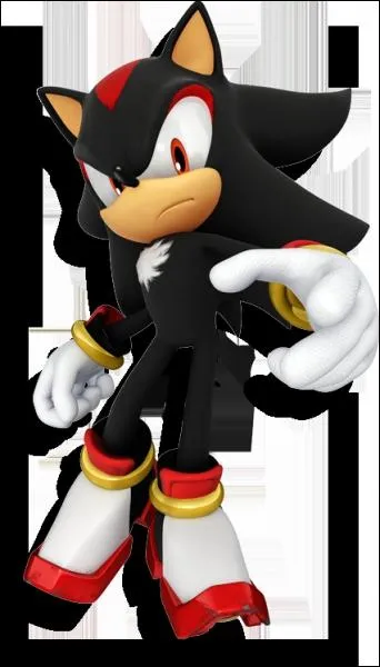 Shadow The Hedgehog est un jeu entirement consacr  notre personnage favori. Mais en quelle anne est-il sorti ?