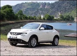 Ce petit modle au look original est un ...