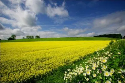 L'Allemagne est divisée en Länder. Quel territoire n'en fait PAS partie ?