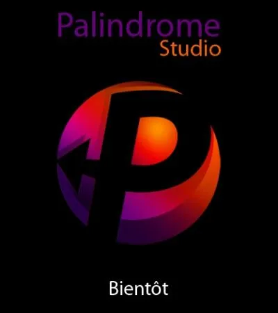 Que signifie le mot palindrome ?