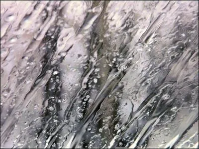 Compltez ce proverbe :   Aprs la pluie...