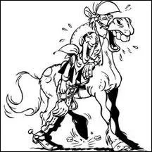 Quelle est la couleur de la robe de Jolly JUMPER le cheval de Lucky Luke ?