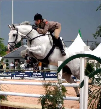 Si les principes de l'quitation taient dj dcrits par Xenophon, philosophe grec antique, de quand datent les premiers crits sur le saut d'obstacles  cheval, ou jumping ?