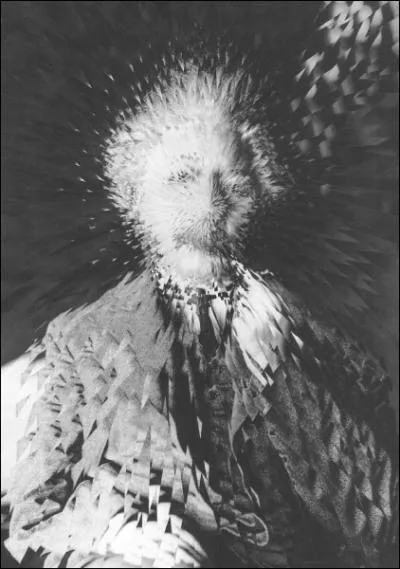 Qui est reprsent par cette oeuvre de Lola Dupre ?