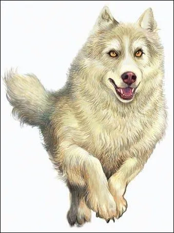 Qui est ce personnage ?