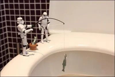 Certains s'adonne au joie de la...