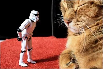 Ce stormtrooper ne fera pas le poids contre ce...