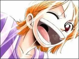 Quel est le rle de Nami dans l'quipage ?