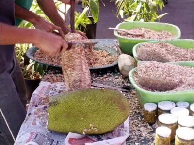 Fruit du jacquier trs apprci dans la cuisine runionnaise en plat sal. Hach et cuit avec du lard fum, pour prparer la fameuse recette populaire...