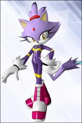 Blaze est une chatte au pelage violet venue du mme endroit que Silver the Hedgehog. Mais quel est cet endroit ?