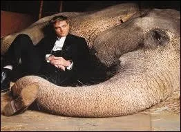 Et dans  De l'Eau pour les lphants  ?