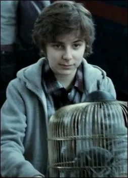 En quelle anne est n son fils an, James Potter II ?