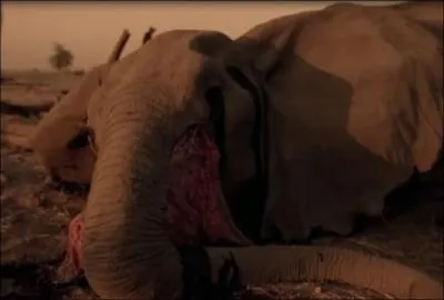 A quel clip appartient cette image ?