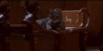 A quel clip appartient cette image ?