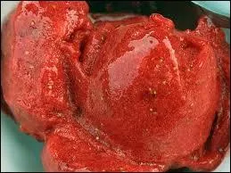 Trs parfum en fruit, et dlicieux, froid et rafrachissant, c'est ?