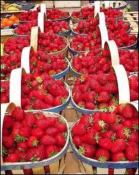 Allons chercher des fraises pour commencer : dans la liste quelle varit n'est pas une varit de fraises ?