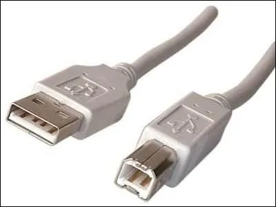 Quels sont les noms de ces connecteurs ?