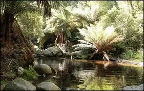 Quel animal n'est PAS endémique de l'Australie ?