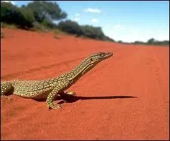 Qui est le chef de l'État ?