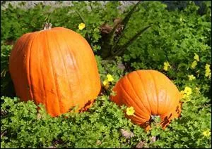 Qui se cache derrire cette image ?