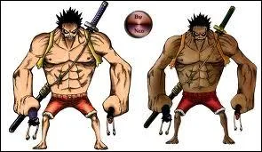 Qu'est-ce-qu'une marionnette ?