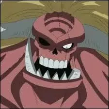 Qui possde l'ombre de Luffy ?