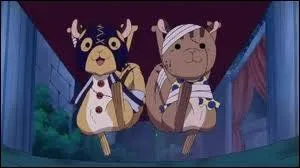 Qui dplace le cercueil dans lequel tait Nami, Usopp et Chopper ?