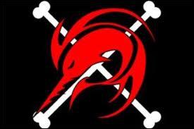 A qui appartient ce drapeau pirate ?