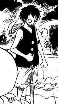 O Luffy porte-t-il ce vtement ?