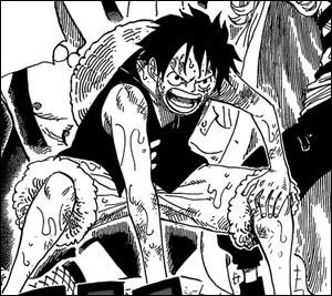 O Luffy porte-t-il ce vtement ?