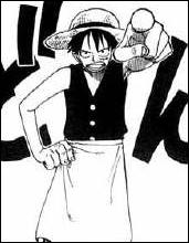 O Luffy porte-t-il ce vtement ?