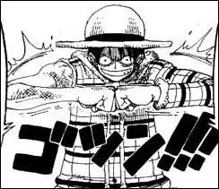 O Luffy porte-t-il ce vtement ?