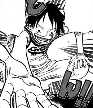 O Luffy porte-t-il ce vtement ?