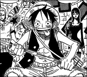 O Luffy porte-t-il ce vtement ?