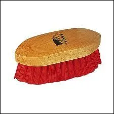 Quel nom dsigne cette brosse ?