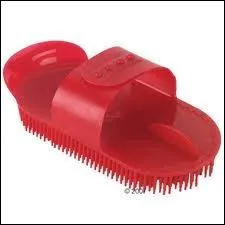 Comment se nomme cette brosse ?