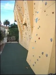 Que veut dire le sigle SAE ?