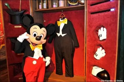 Dans quel Land peut-on rencontrer Mickey ?