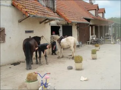 Il existe un produit trs utile pour entretenir les fourchettes des sabots d'un cheval !