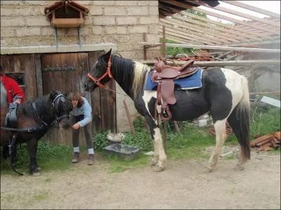 Comment appelez-vous cette selle ?